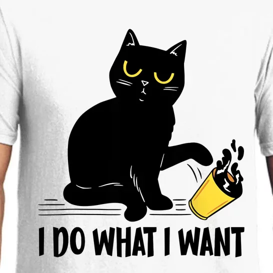 Funny Black Cat I Do What I Want Cat Lover Gifts Pajama Set