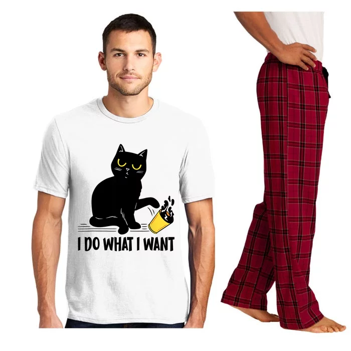 Funny Black Cat I Do What I Want Cat Lover Gifts Pajama Set