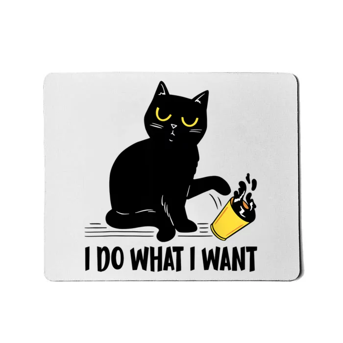 Funny Black Cat I Do What I Want Cat Lover Gifts Mousepad