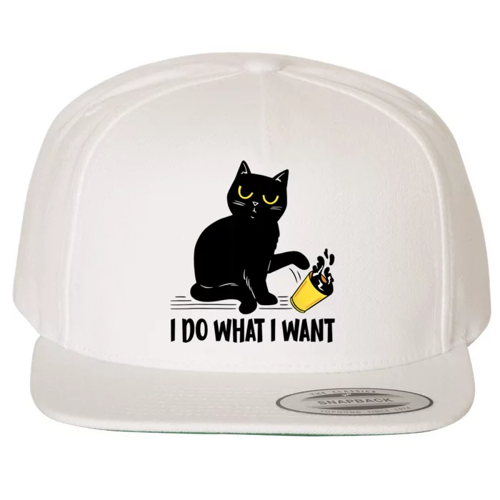 Funny Black Cat I Do What I Want Cat Lover Gifts Wool Snapback Cap