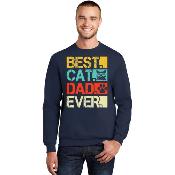 Funny Best Cat Dad Ever, Retro Fathers Day Gift Cat Lovers Sweatshirt