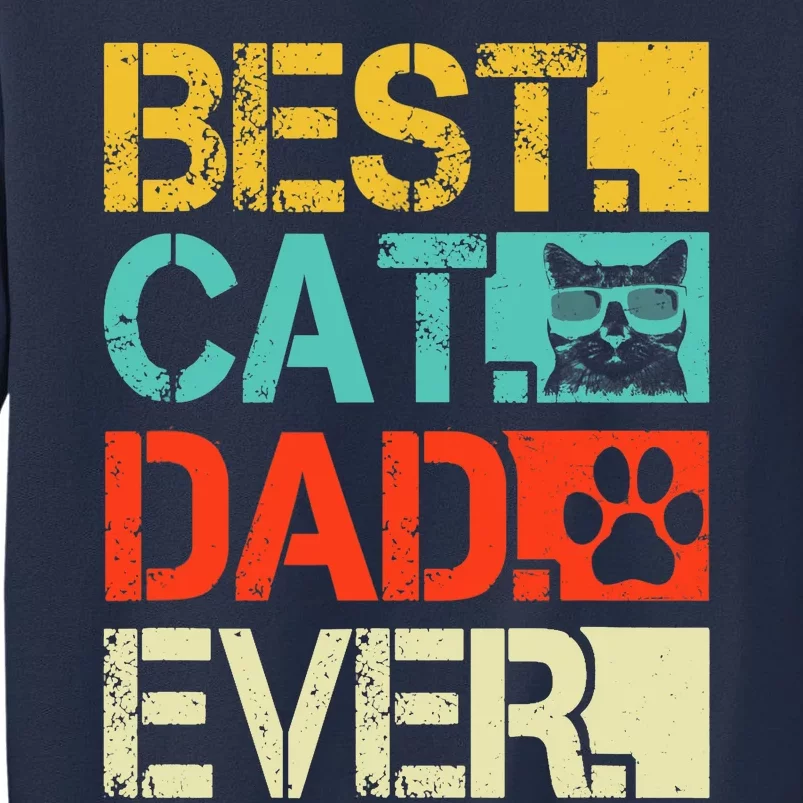 Funny Best Cat Dad Ever, Retro Fathers Day Gift Cat Lovers Sweatshirt