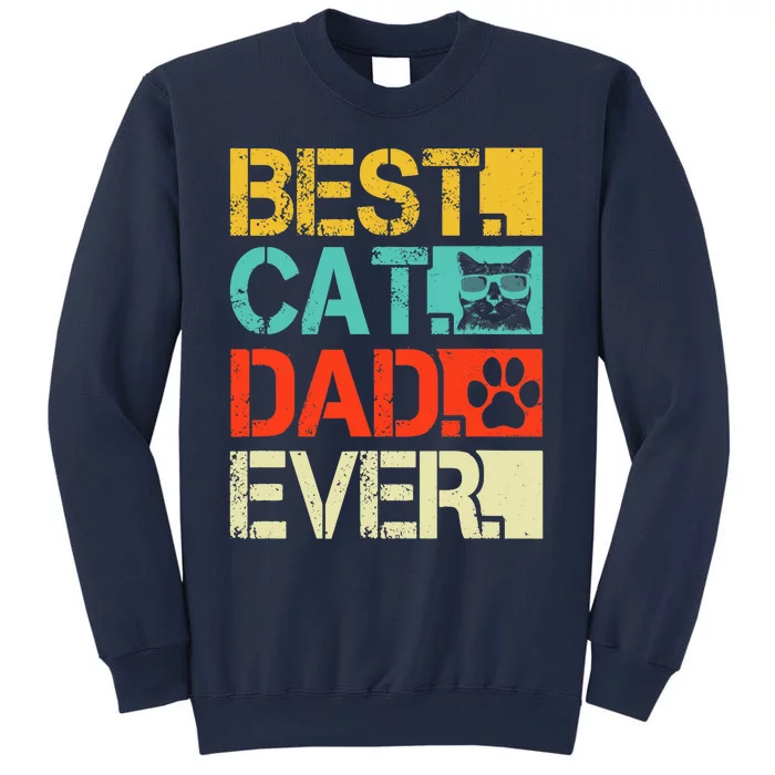 Funny Best Cat Dad Ever, Retro Fathers Day Gift Cat Lovers Sweatshirt