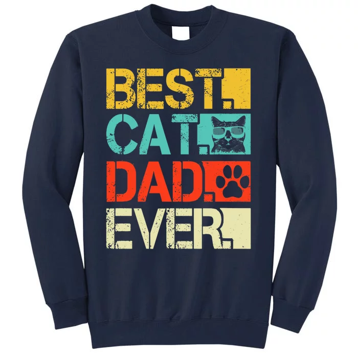 Funny Best Cat Dad Ever, Retro Fathers Day Gift Cat Lovers Tall Sweatshirt