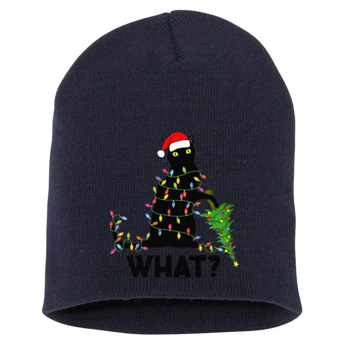 Funny Black Cat Pushing Christmas Tree Over Cat Christmas Short Acrylic Beanie