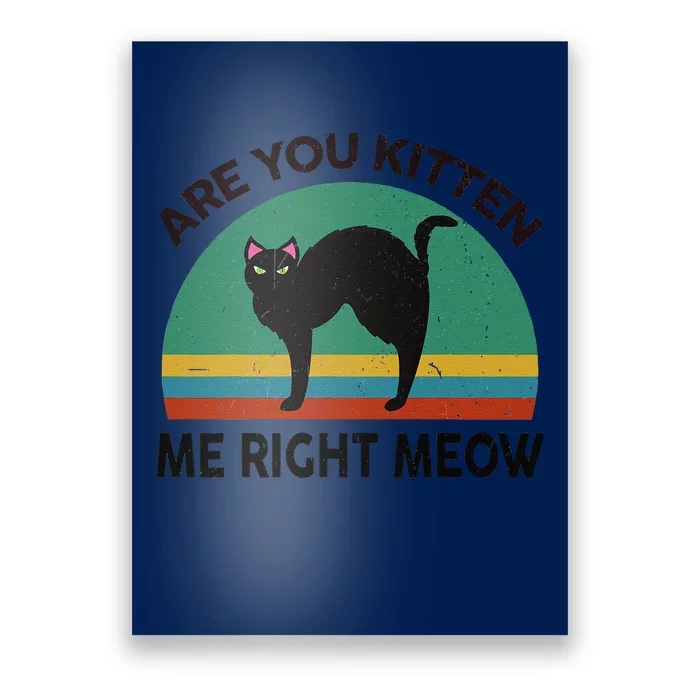 Funny Black Cat Are You Kitten Me Right Meow Feline Lover Poster