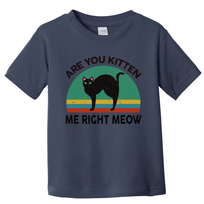 Funny Black Cat Are You Kitten Me Right Meow Feline Lover Toddler T-Shirt