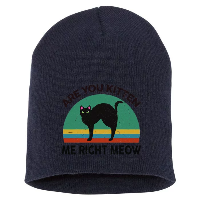 Funny Black Cat Are You Kitten Me Right Meow Feline Lover Short Acrylic Beanie