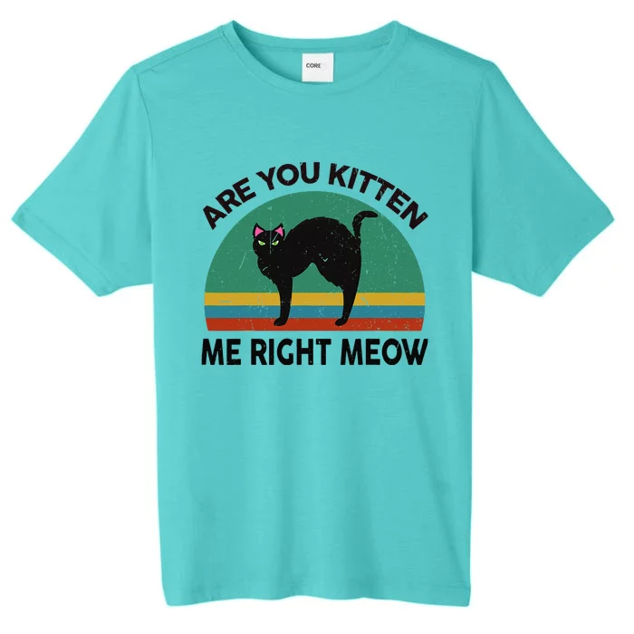 Funny Black Cat Are You Kitten Me Right Meow Feline Lover ChromaSoft Performance T-Shirt