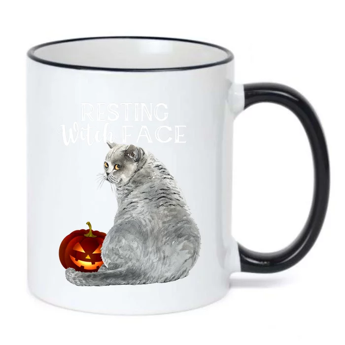 Funny Black Cat Resting Witch Face Halloween Costume Meaningful Gift Black Color Changing Mug