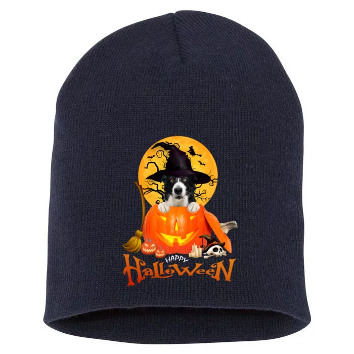 Funny Border Collie Dog Spooky Halloween Short Acrylic Beanie