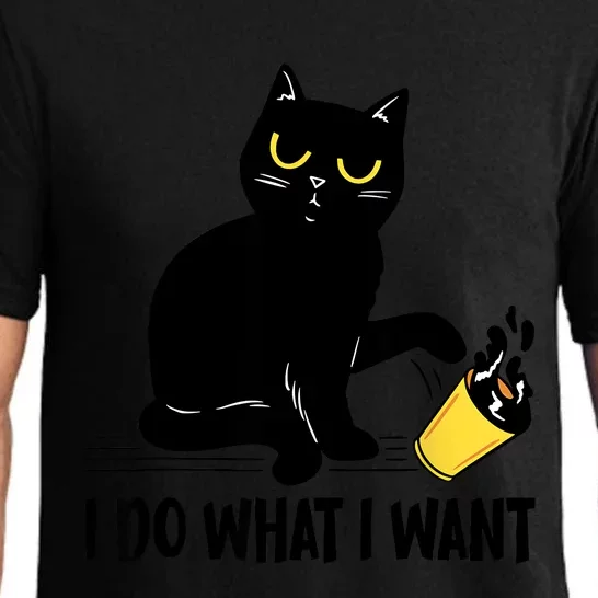 Funny Black Cat I Do What I Want Cat Lover Gifts Pajama Set