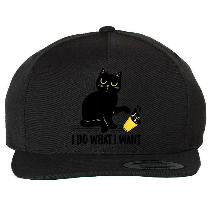 Funny Black Cat I Do What I Want Cat Lover Gifts Wool Snapback Cap