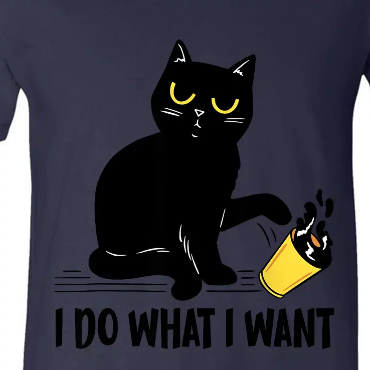 Funny Black Cat I Do What I Want Cat Lover Gifts V-Neck T-Shirt