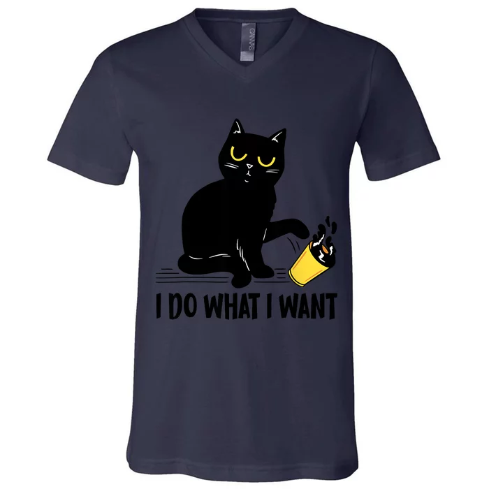 Funny Black Cat I Do What I Want Cat Lover Gifts V-Neck T-Shirt