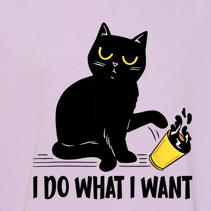 Funny Black Cat I Do What I Want Cat Lover Gifts Garment-Dyed Sweatshirt