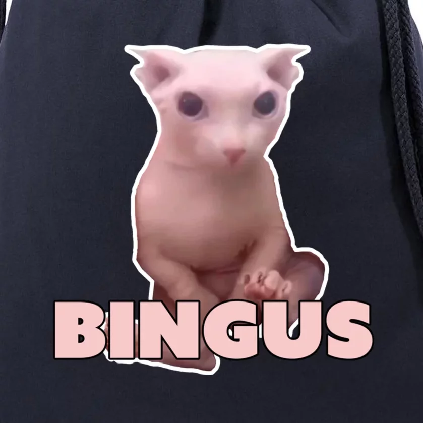 Funny Bingus Cat Meme Drawstring Bag