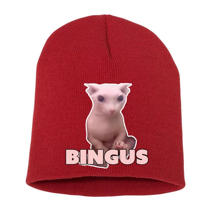 Funny Bingus Cat Meme Short Acrylic Beanie