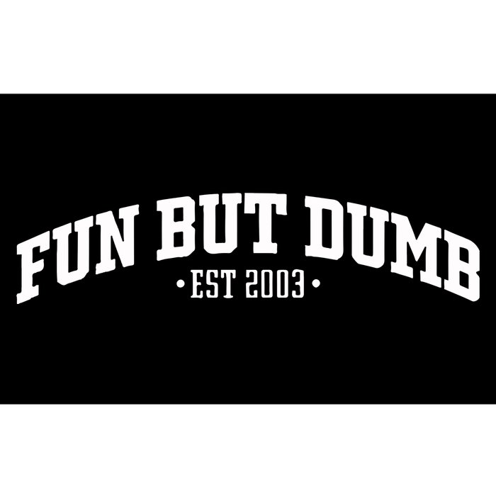 Fun But Dumb Est 2003 Bumper Sticker