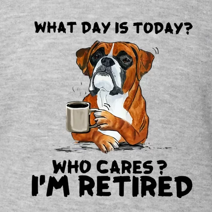 Funny Boxer Dog What Day Is Today Who Care I'm Retired Toddler Sweatshirt