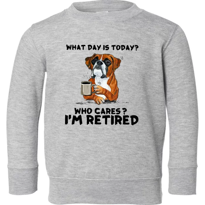 Funny Boxer Dog What Day Is Today Who Care I'm Retired Toddler Sweatshirt