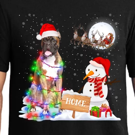 Funny Boxer Dog Christmas Snow Xmas Lights Pajama Gift Pajama Set