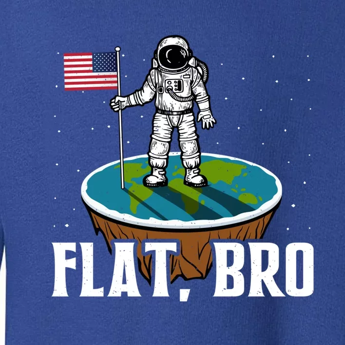 Flat Bro Funny Gift The Earth Is Flat Gift Toddler Sweatshirt