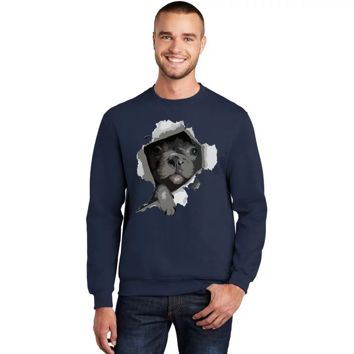 French Bulldog Frenchie Owner Cute French Bulldog Tall Sweatshirt