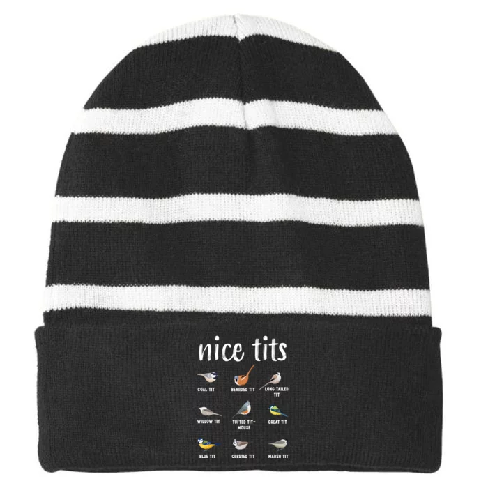 Funny Bird Gift Nice Tits Ornithology Striped Beanie with Solid Band