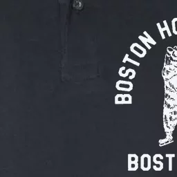 Funny Boston Hockey Club Boston Ma Softstyle Adult Sport Polo