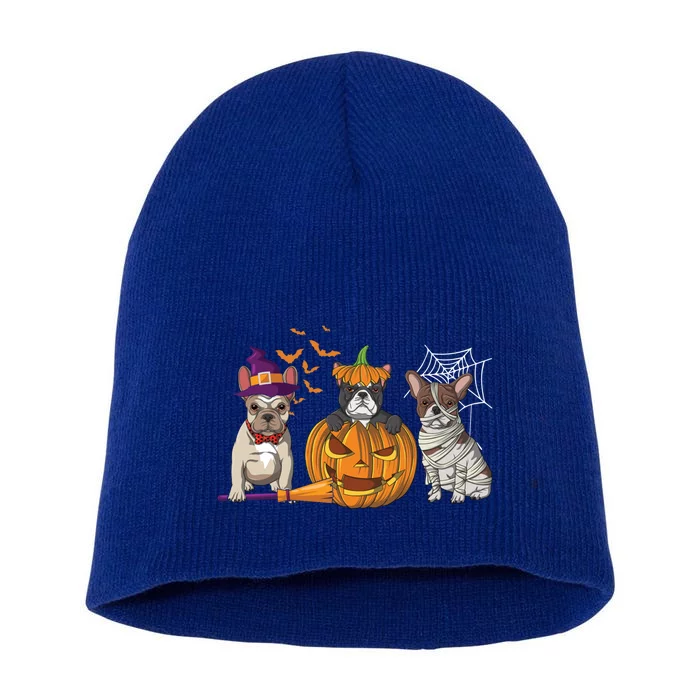 French Bulldog Halloween Witch Mummy Pumpkin Funny Dog Lover Gift Short Acrylic Beanie