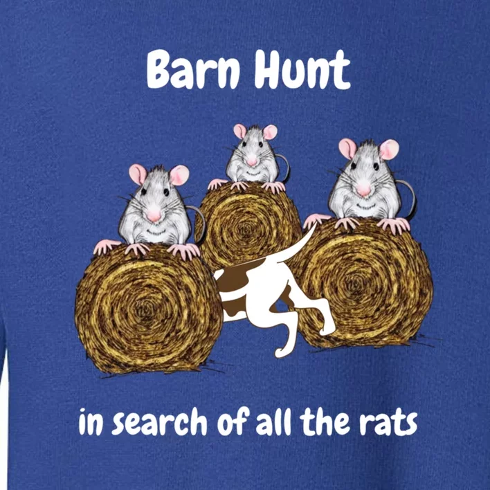 Funny Barn Hunt In Search Of All The Rats Cute Gift Toddler Sweatshirt