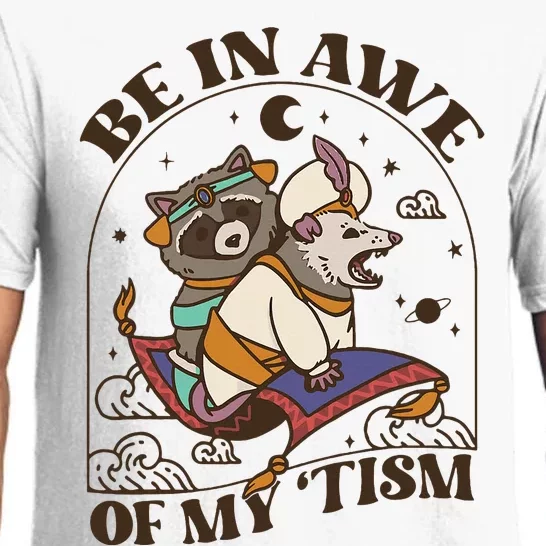 Funny Be In Awe Of My Tism Raccoon Possum Pajama Set