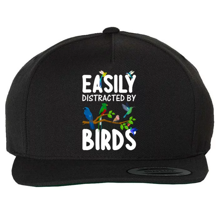 Funny Bird Lover Art Ornithology Bird Watcher Gift Wool Snapback Cap