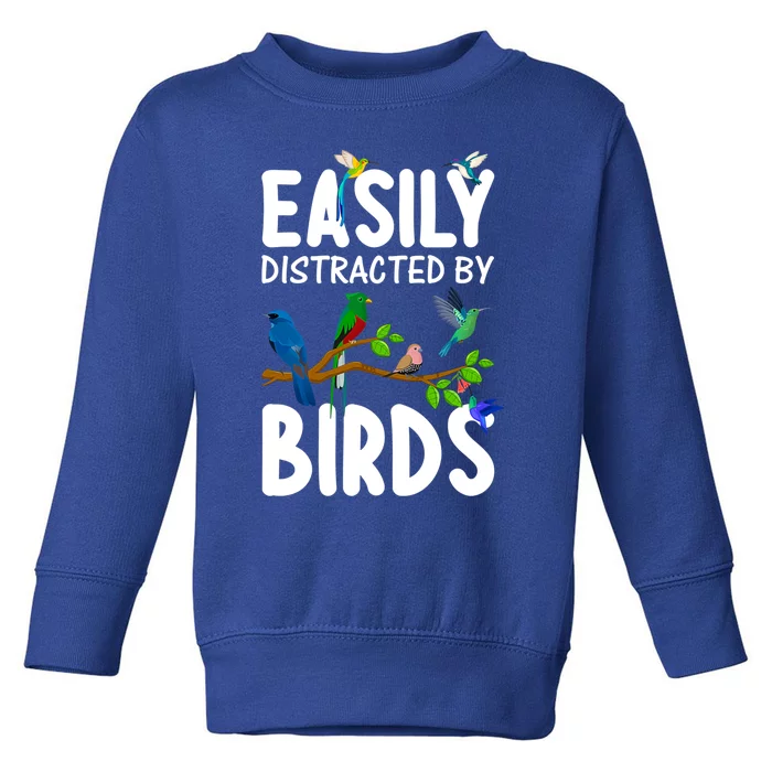 Funny Bird Lover Art Ornithology Bird Watcher Gift Toddler Sweatshirt