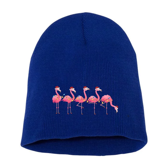 Flamingo Bird Lover Xmas Light Santa Pink Flamingo Christmas Gift Short Acrylic Beanie