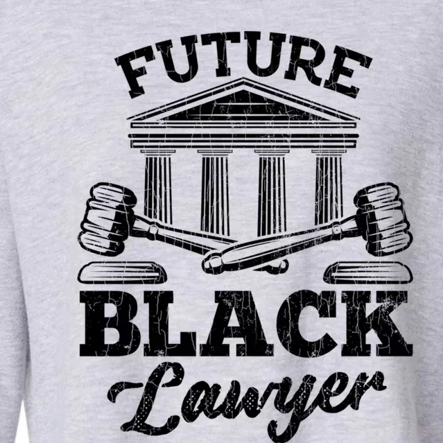 Future Black Lawyer Funny Attorney Law School Graphic Funny Gift Cropped Pullover Crew