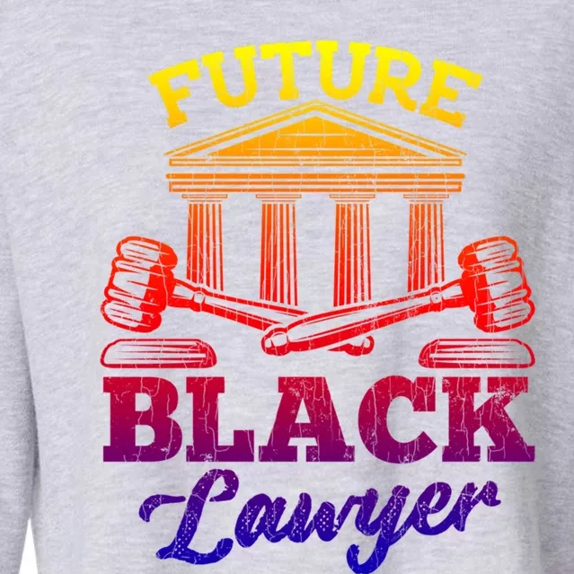 Future Black Lawyer Funny Attorney Law School Graphic Funny Gift Cropped Pullover Crew