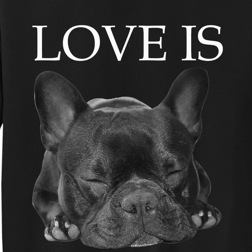 French Bulldog Love Is Cute Frenchie Dog Mom Gifts Sweatshirt