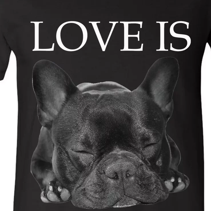 French Bulldog Love Is Cute Frenchie Dog Mom Gifts V-Neck T-Shirt