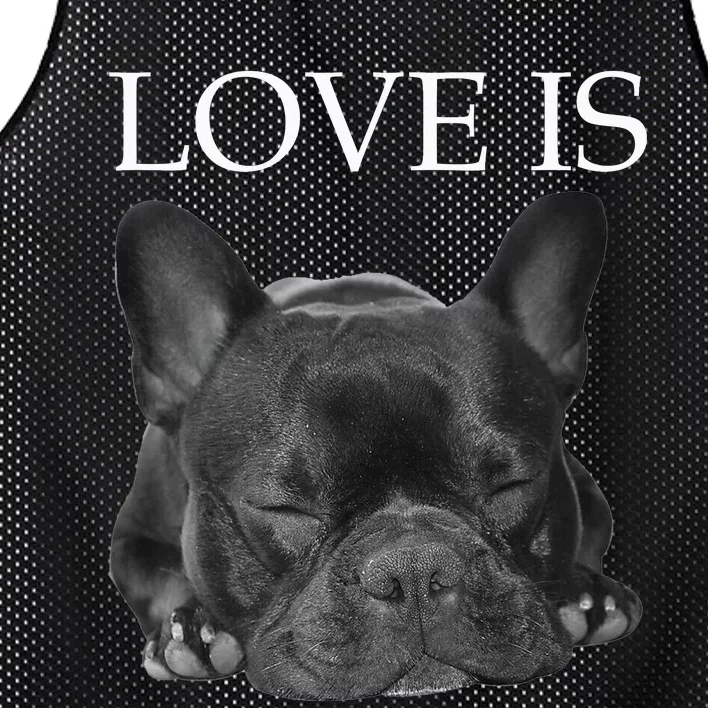 French Bulldog Love Is Cute Frenchie Dog Mom Gifts Mesh Reversible Basketball Jersey Tank