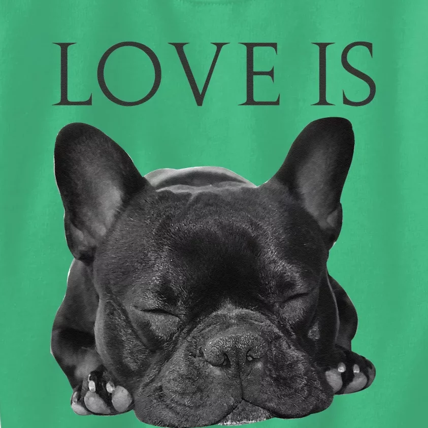 French Bulldog Love Is Cute Frenchie Dog Mom Gifts Kids Sweatshirt