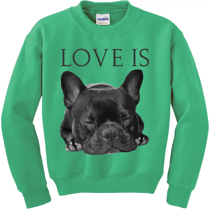 French Bulldog Love Is Cute Frenchie Dog Mom Gifts Kids Sweatshirt