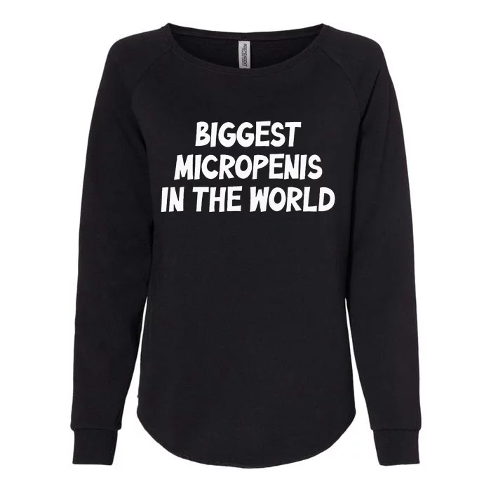 Funny Biggest Micropenis In The World Womens California Wash Sweatshirt