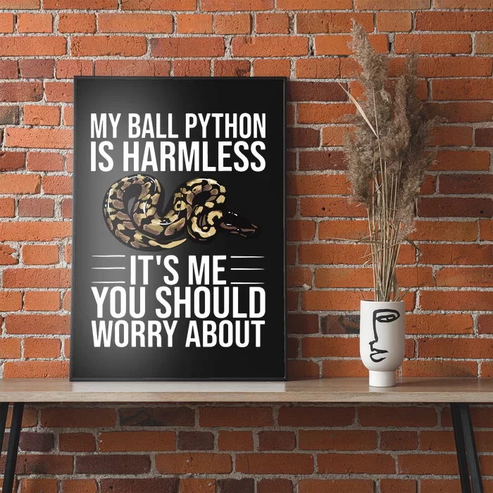 Funny Ball Python Design Snake Lover Men Women Boy Girl Poster