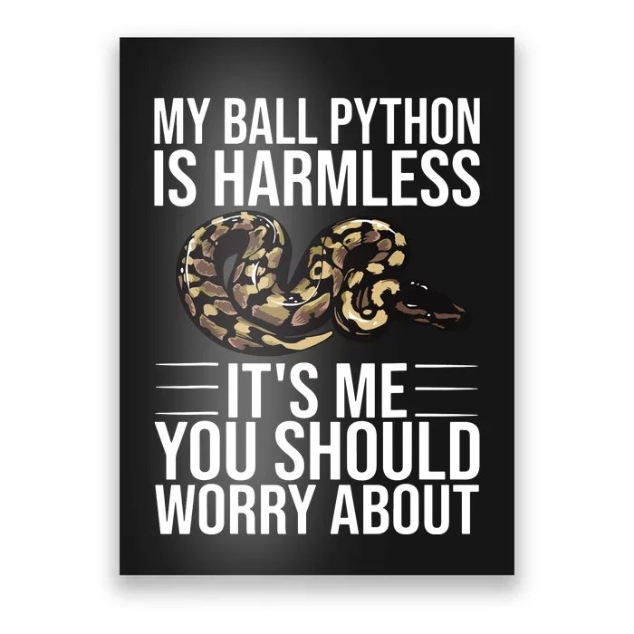 Funny Ball Python Design Snake Lover Men Women Boy Girl Poster