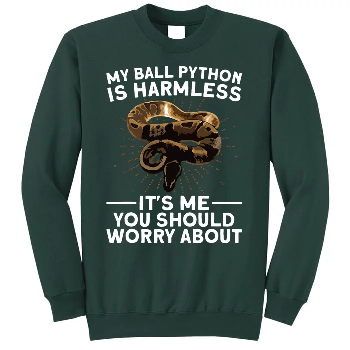 Funny Ball Python For Men Women Snake Lover Reptile Animal Tall Sweatshirt