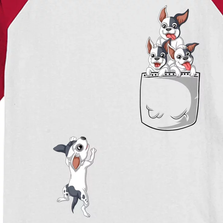 French Bulldog Pocket Kids Colorblock Raglan Jersey