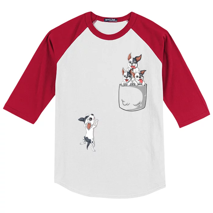 French Bulldog Pocket Kids Colorblock Raglan Jersey