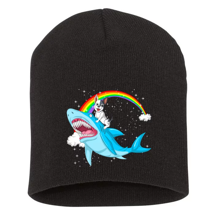 French Bulldog Riding Shark Short Acrylic Beanie